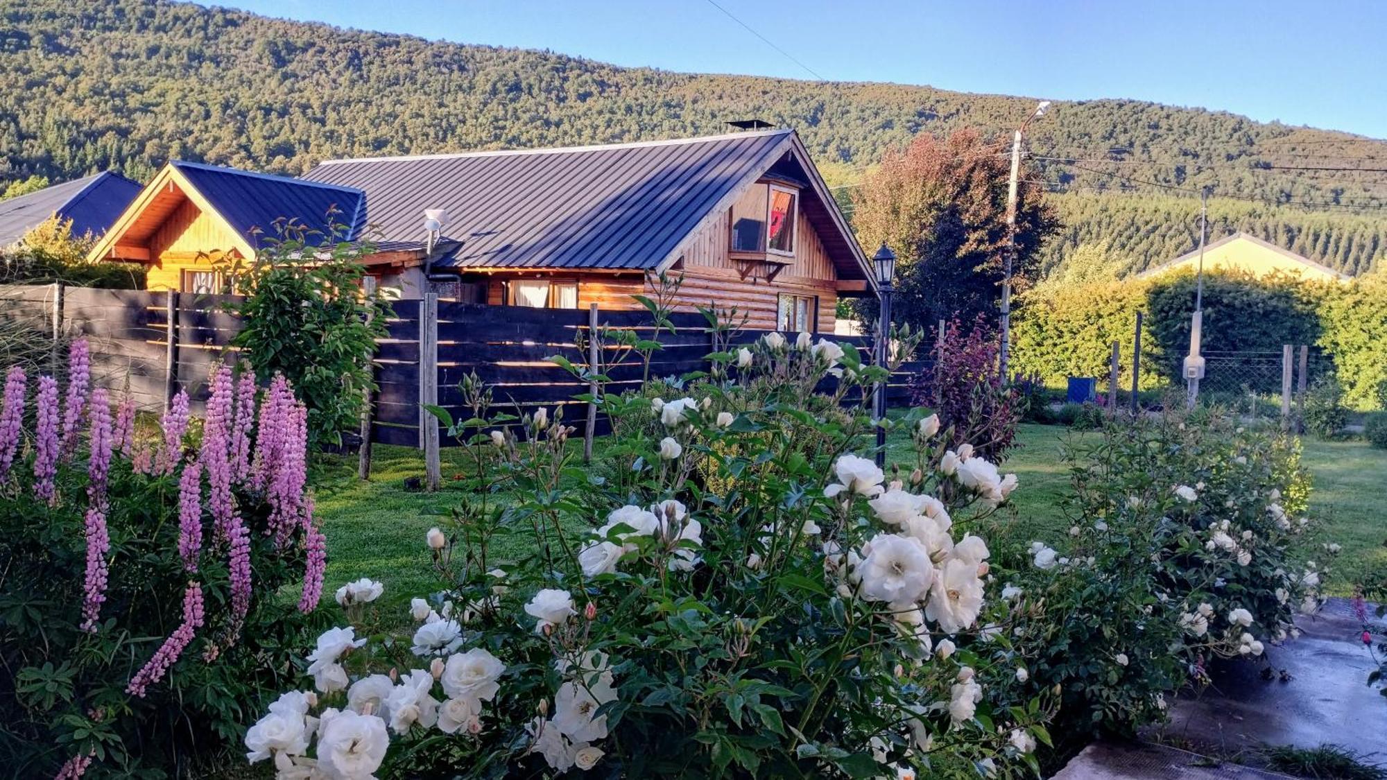 Cabana Los Teros San Martín de los Andes Eksteriør billede
