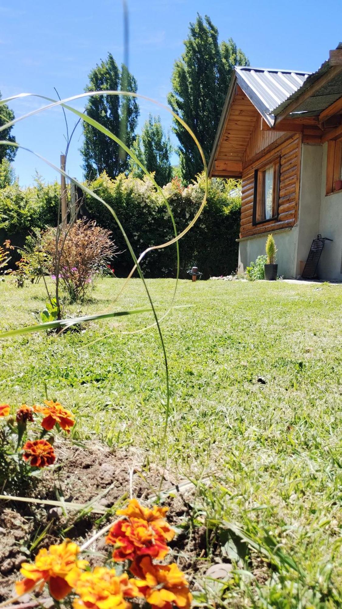 Cabana Los Teros San Martín de los Andes Eksteriør billede